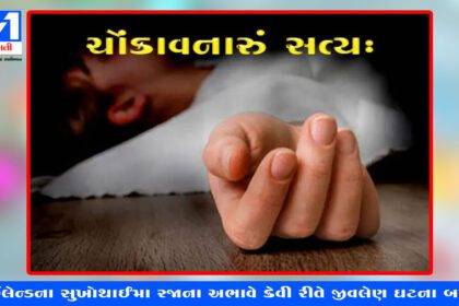ચોંકાવનારું સત્ય : થાઇલેન્ડના સુખોથાઈમા રજાના અભાવે કેવી રીતે જીવલેણ ઘટના બની?