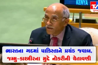 ભારતે UNમાં પાકિસ્તાનને ફટકાર લગાવી, વારંવાર જમ્મુ-કાશ્મીરના નારા લગાવવાથી તે તમારું નહી થઈ જાય